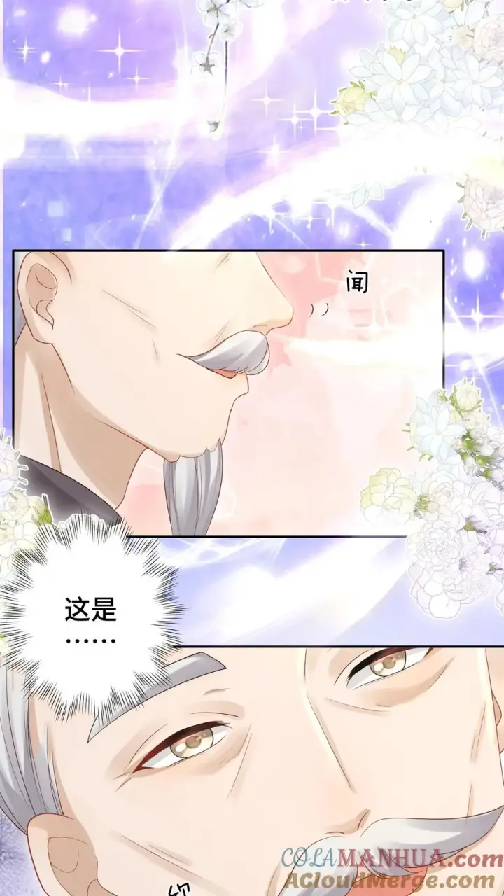 漫画《团宠萌宝：四岁小师傅下山了》第63话 被大佬惦记第35张图
