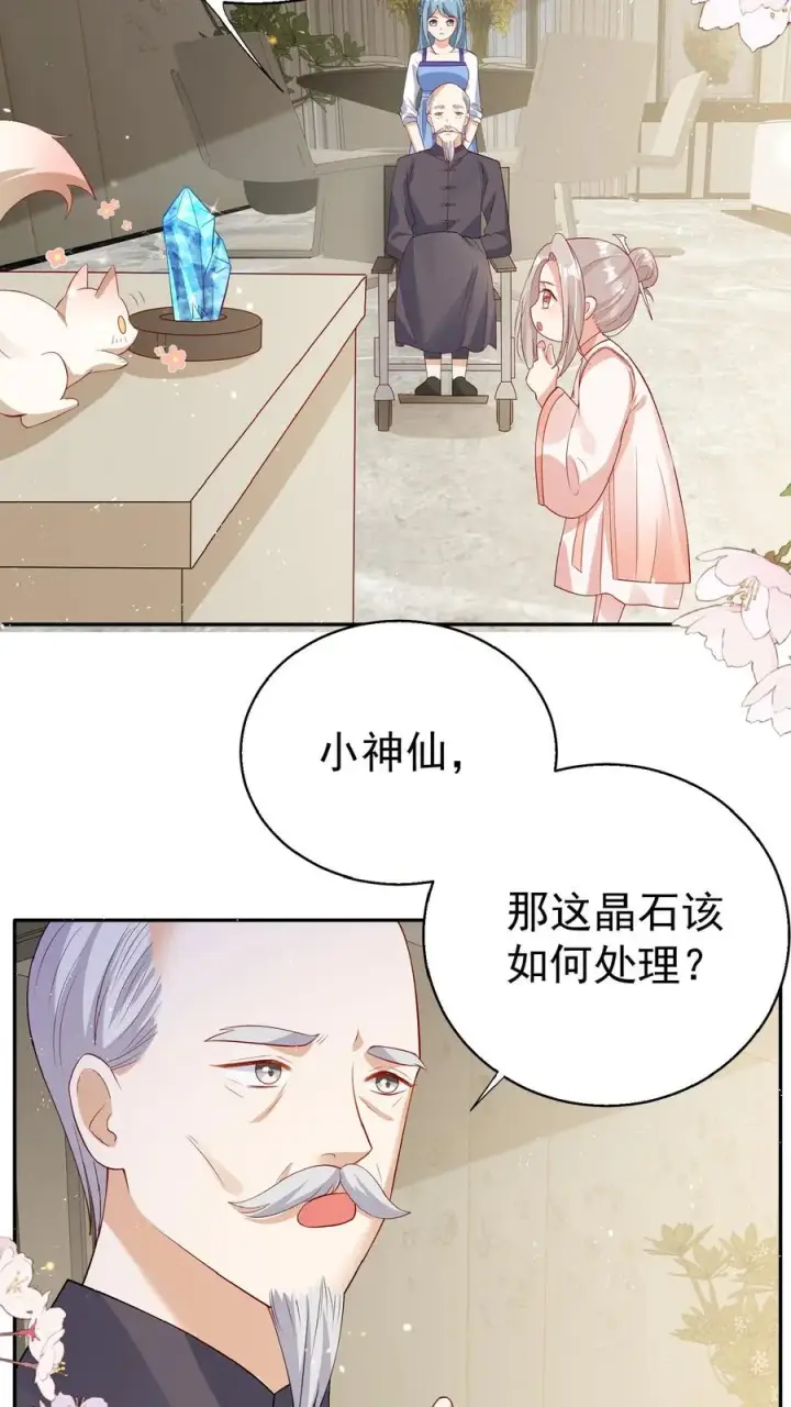 漫画《团宠萌宝：四岁小师傅下山了》第63话 被大佬惦记第4张图