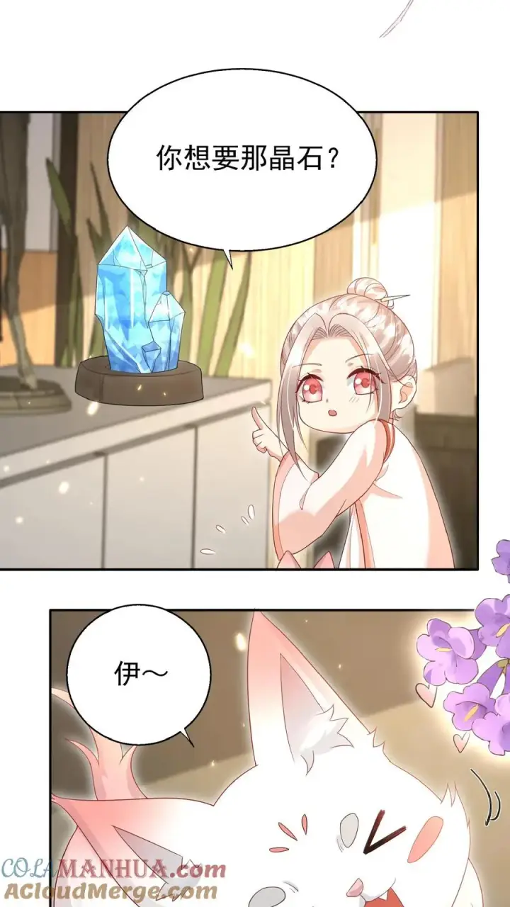 漫画《团宠萌宝：四岁小师傅下山了》第63话 被大佬惦记第9张图