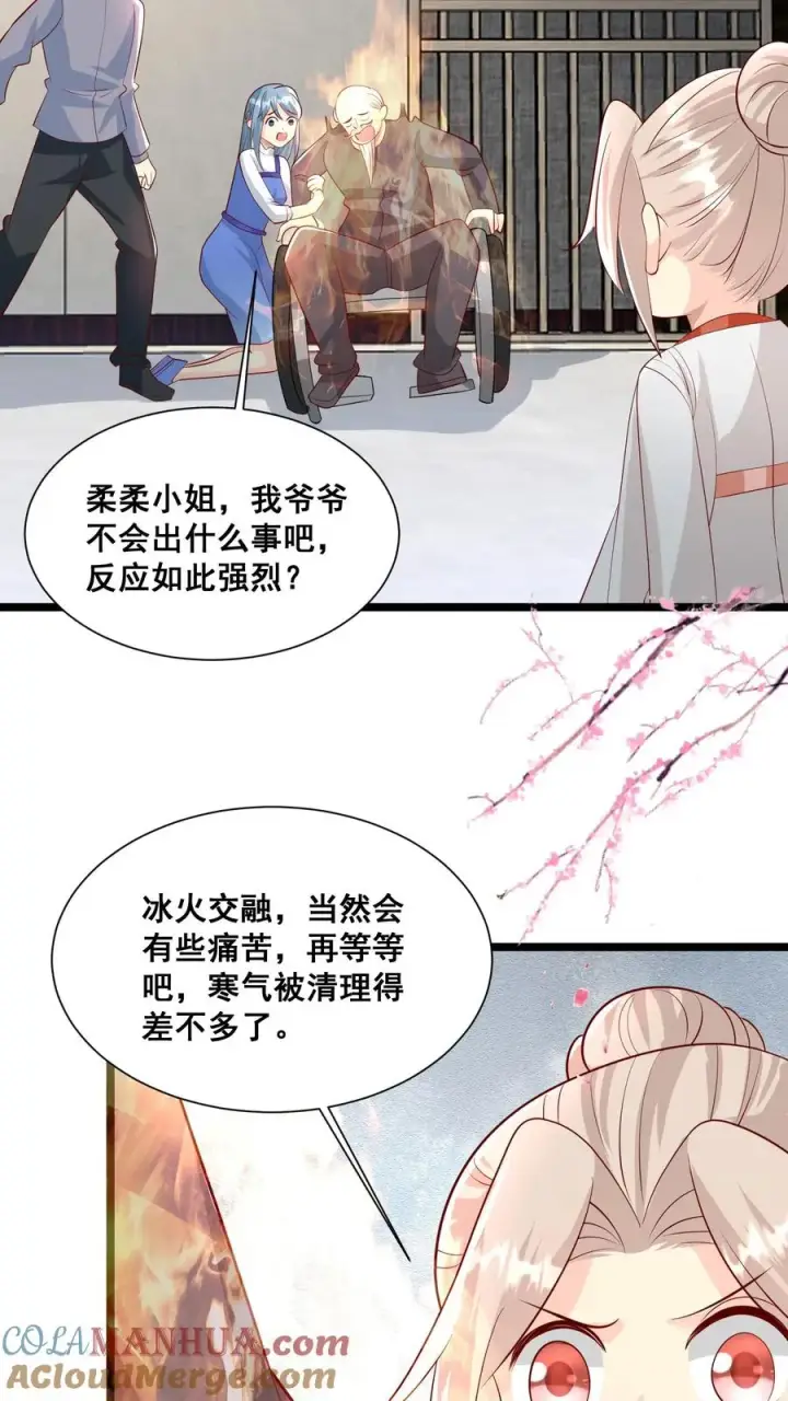漫画《团宠萌宝：四岁小师傅下山了》第65话 四岁收徒？第11张图