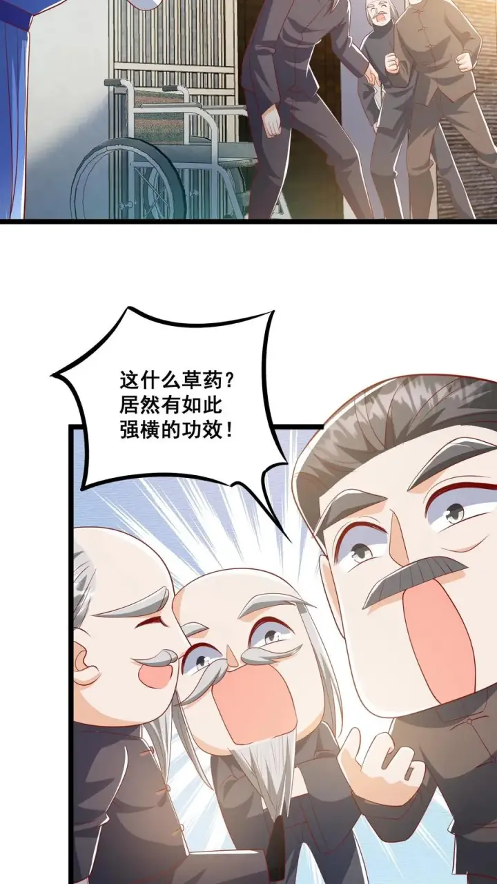 漫画《团宠萌宝：四岁小师傅下山了》第65话 四岁收徒？第18张图