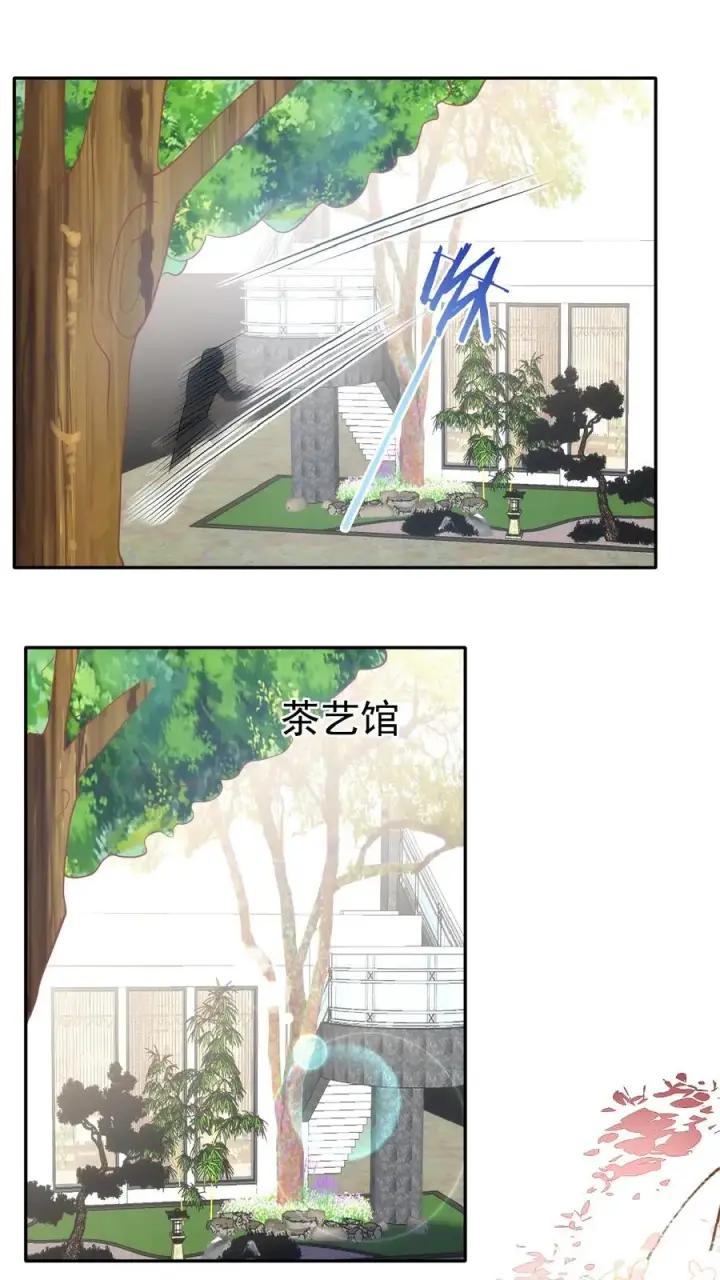 漫画《团宠萌宝：四岁小师傅下山了》第68话 暗影杀手第8张图