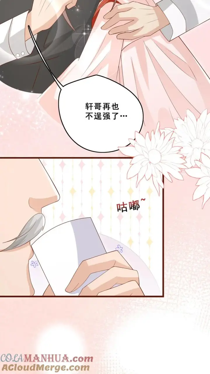 漫画《团宠萌宝：四岁小师傅下山了》第74话 两头猪的笨第13张图