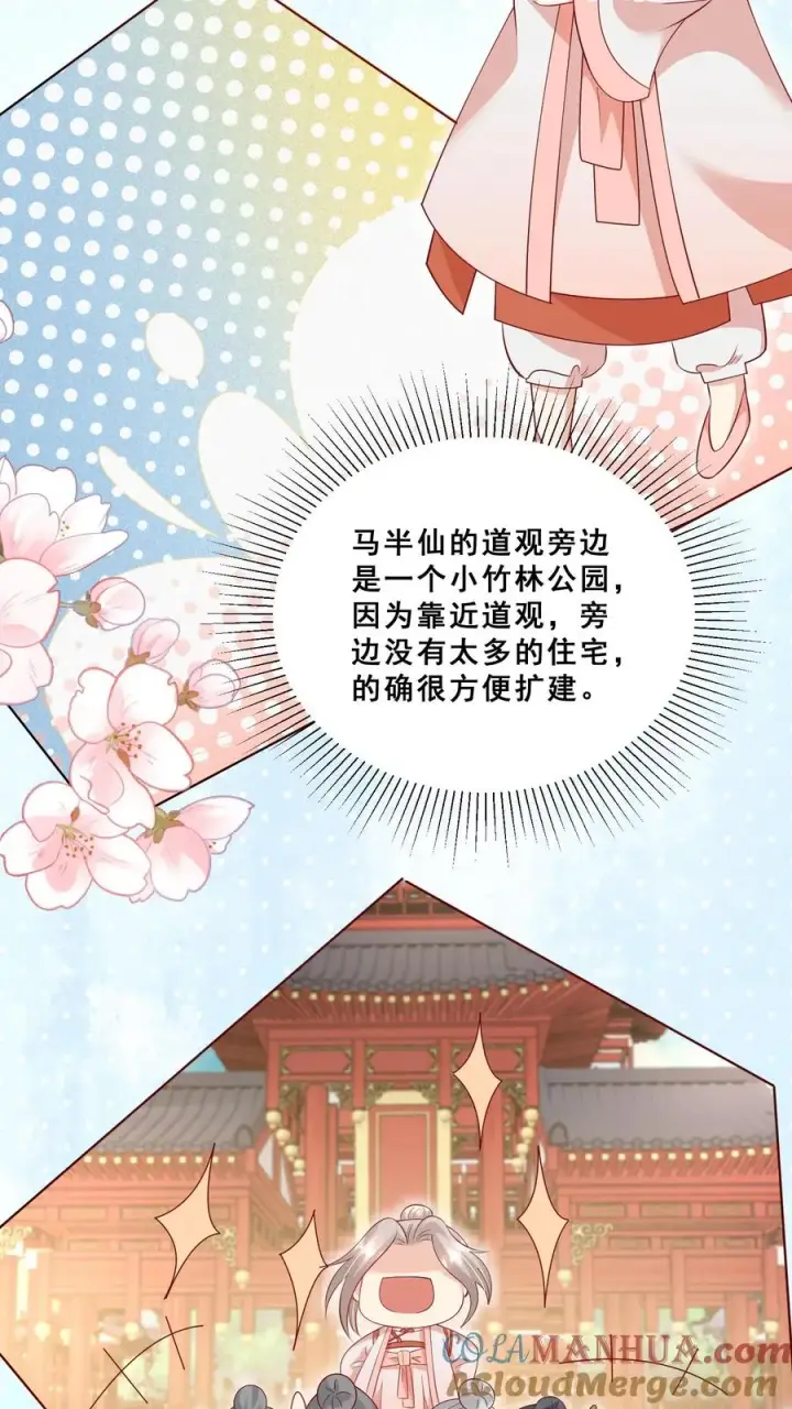 漫画《团宠萌宝：四岁小师傅下山了》第80话 马半仙的野望第15张图