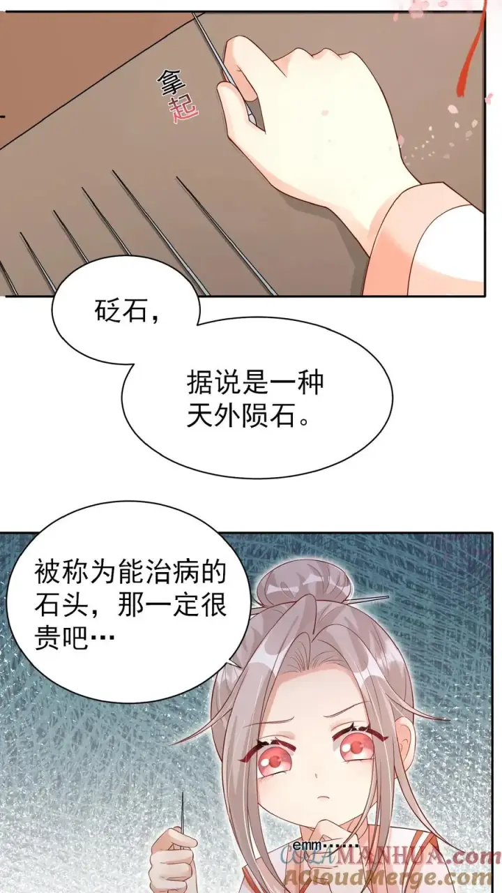 漫画《团宠萌宝：四岁小师傅下山了》第84话 神医柔柔第11张图