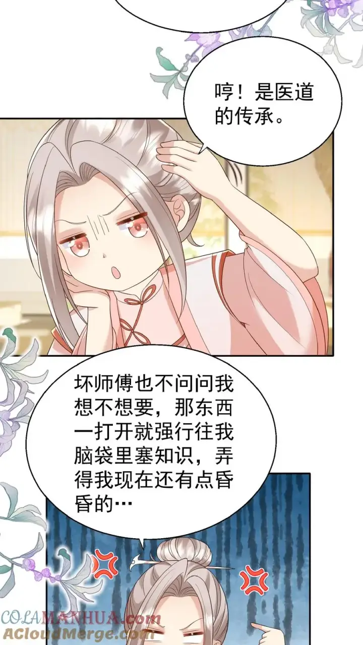 漫画《团宠萌宝：四岁小师傅下山了》第84话 神医柔柔第19张图