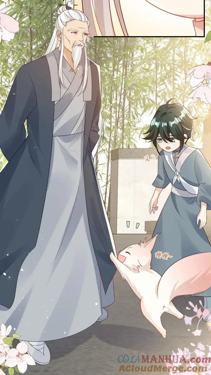 漫画《团宠萌宝：四岁小师傅下山了》第90话 老杂毛下山了第13张图