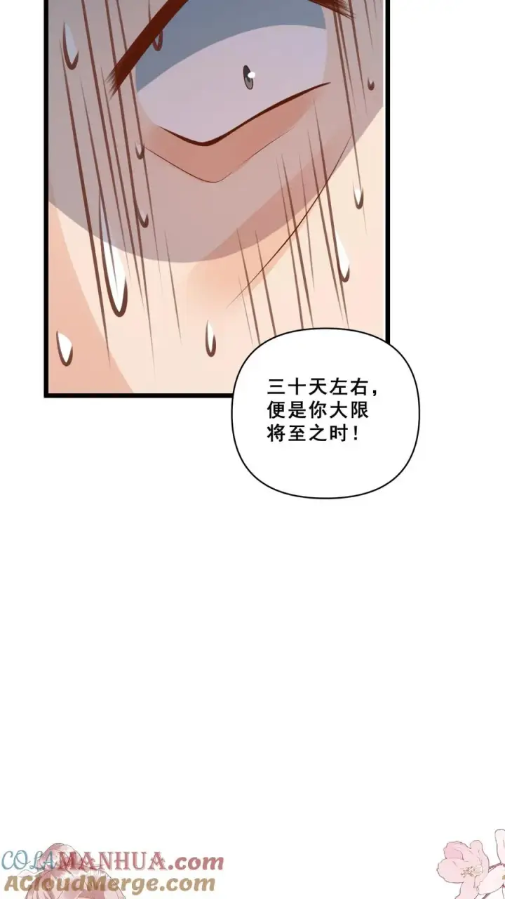 漫画《团宠萌宝：四岁小师傅下山了》第94话 被人蔑视的神医第27张图