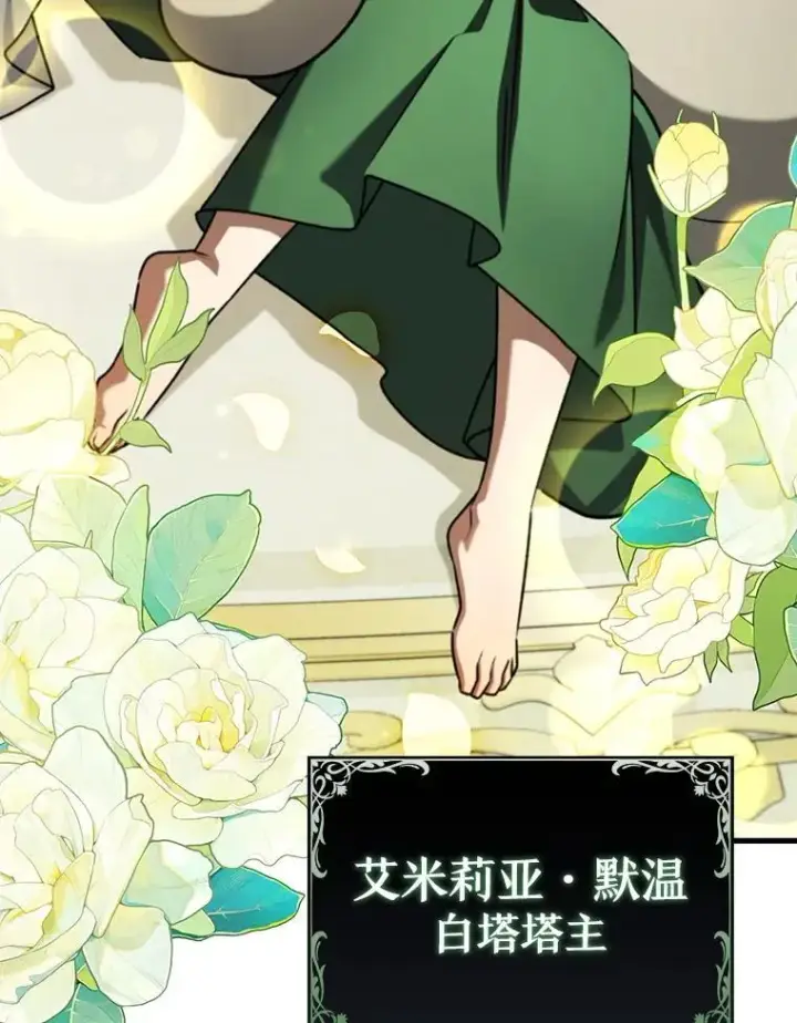 漫画《吞龙魔法师》60.白塔塔主第161张图