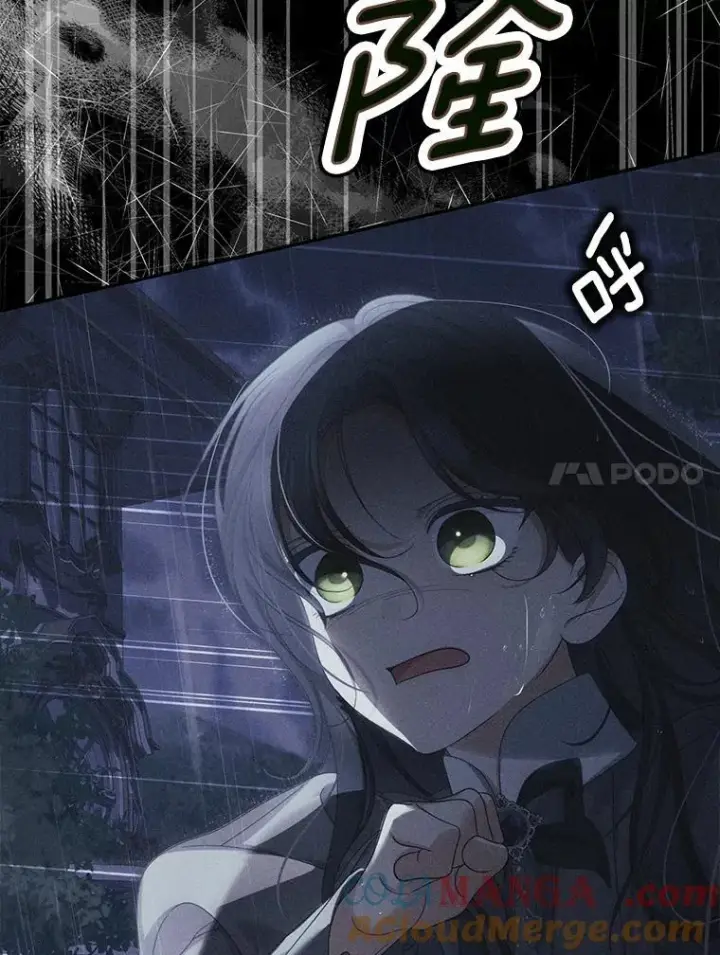 漫画《为何执着于假妻子？》52.并非亲生第85张图