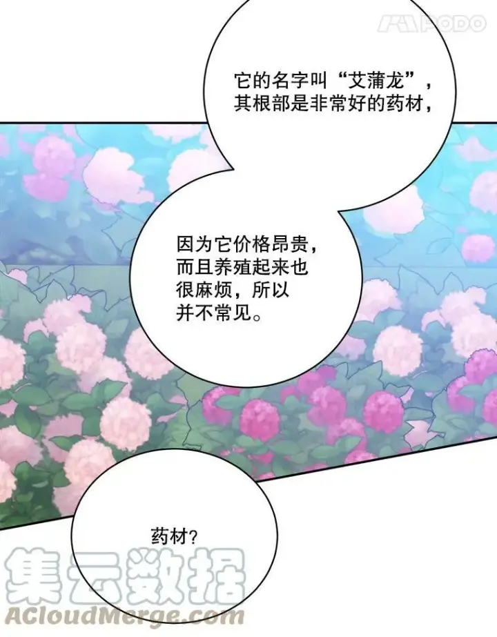 漫画《未来每步都是花路》49.皇帝的礼物第45张图