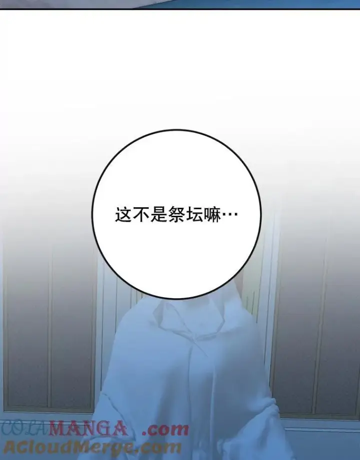 漫画《未来每步都是花路》107.摧毁祭坛第41张图
