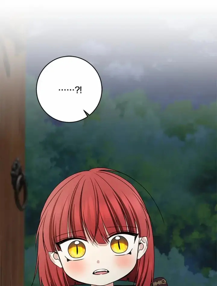 漫画《我的暴君变成小孩儿了》74.诅咒解除第22张图