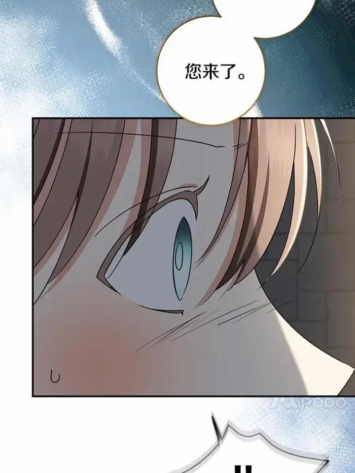 漫画《我的暴君变成小孩儿了》81.真正的实权者第64张图