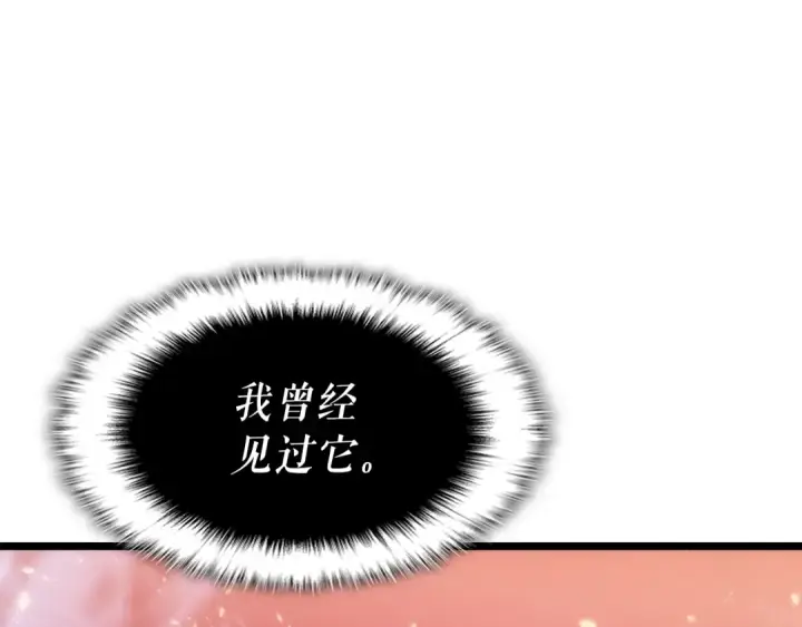 漫画《我独自升级》第165话 王的警告第173张图