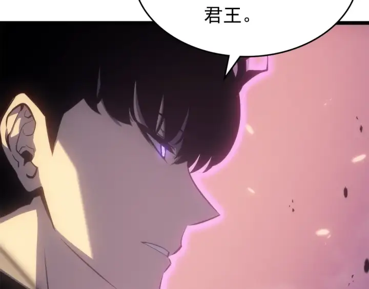 漫画《我独自升级》第165话 王的警告第210张图