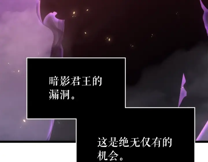 漫画《我独自升级》第165话 王的警告第31张图