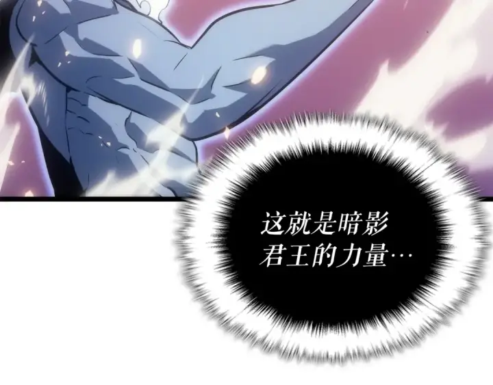 漫画《我独自升级》第165话 王的警告第63张图