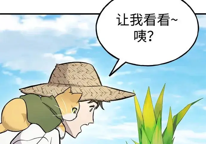 漫画《我独自在高塔种田》[第135话] 首次采摘菠萝！第279张图