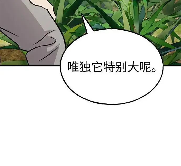 漫画《我独自在高塔种田》[第135话] 首次采摘菠萝！第281张图