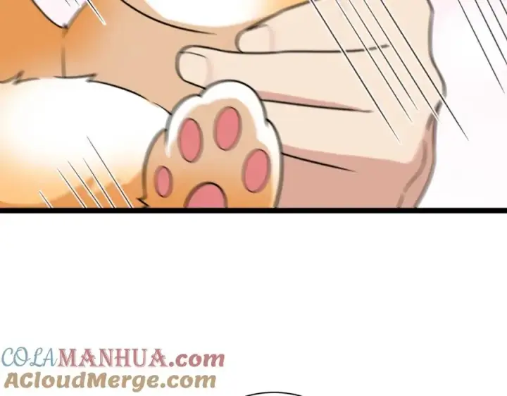 漫画《我家老婆来自一千年前》241第121张图
