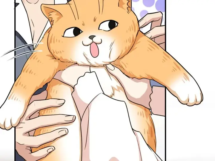 漫画《我家老婆来自一千年前》266第143张图