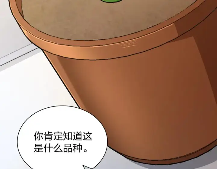 漫画《我家老婆来自一千年前》284第4张图