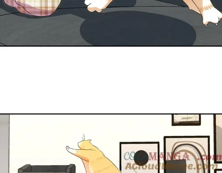 漫画《我家老婆来自一千年前》355第13张图