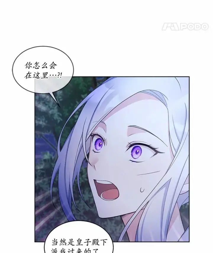 漫画《我可以除掉你吗，陛下》11.参加聚会第25张图