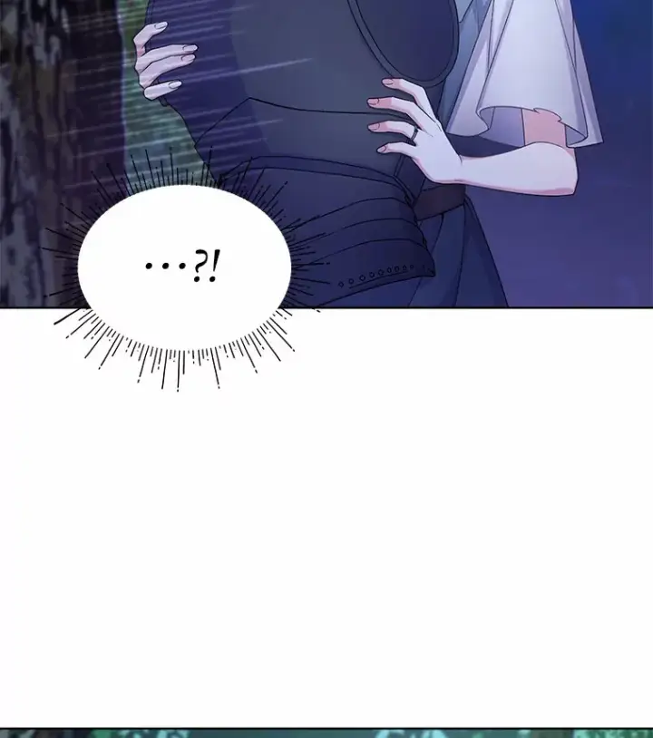 漫画《我可以除掉你吗，陛下》11.参加聚会第37张图