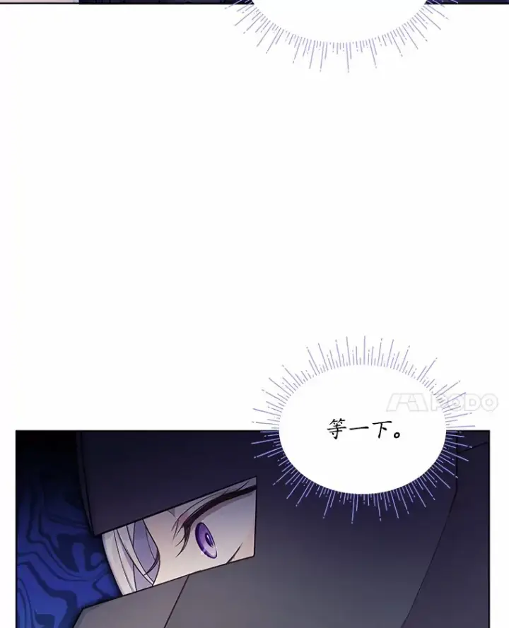 漫画《我可以除掉你吗，陛下》11.参加聚会第73张图