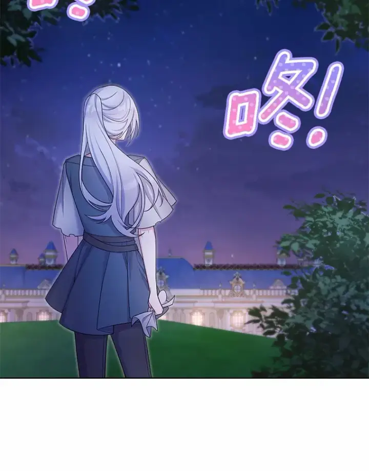 漫画《我可以除掉你吗，陛下》11.参加聚会第9张图
