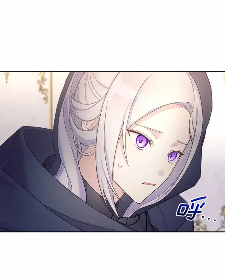 漫画《我可以除掉你吗，陛下》12.计划被发现第13张图