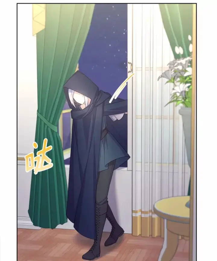 漫画《我可以除掉你吗，陛下》13.错入房间第16张图