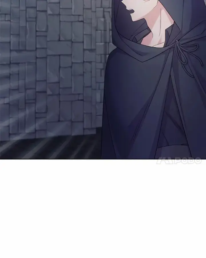 漫画《我可以除掉你吗，陛下》14.成功逃脱第36张图