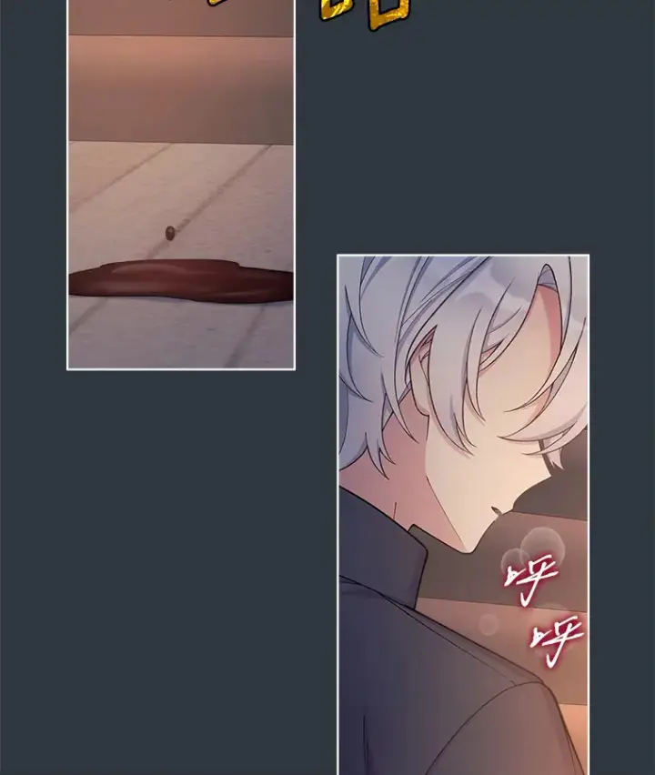 漫画《我可以除掉你吗，陛下》19.决心报仇第41张图