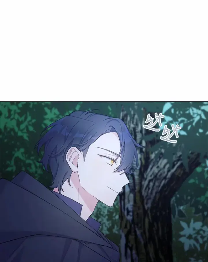 漫画《我可以除掉你吗，陛下》22.长得帅吗？第114张图