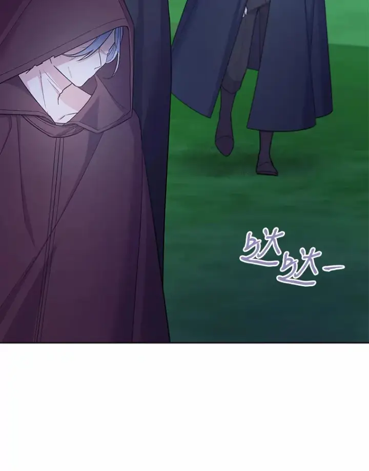 漫画《我可以除掉你吗，陛下》22.长得帅吗？第88张图