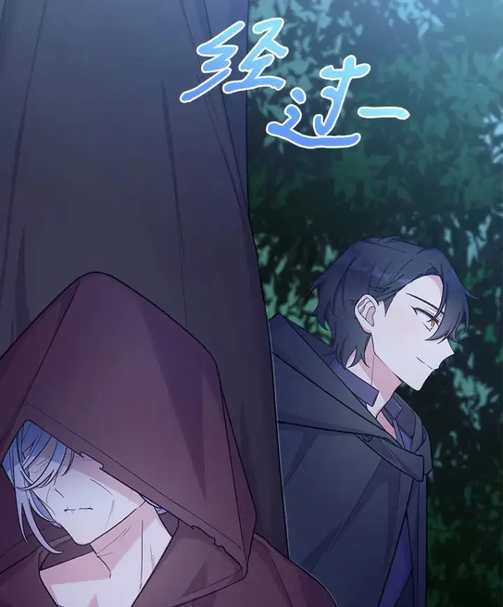 漫画《我可以除掉你吗，陛下》22.长得帅吗？第91张图