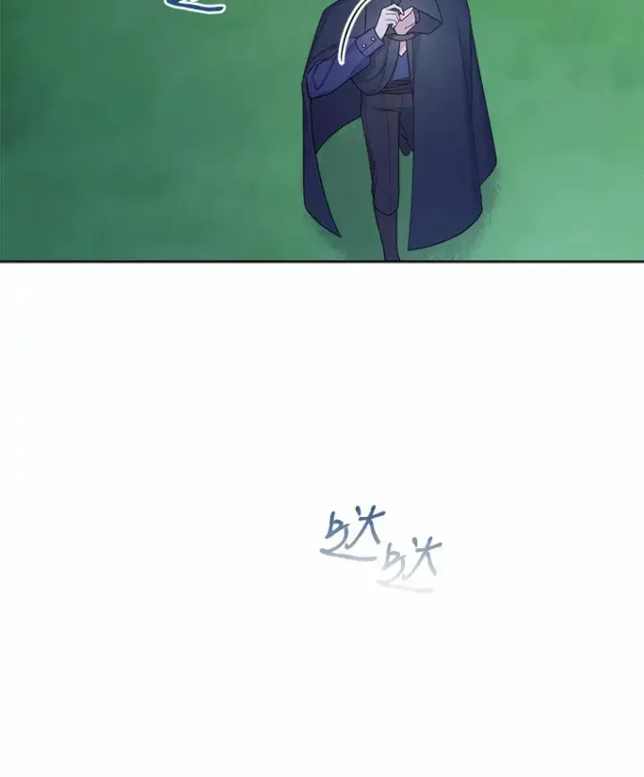 漫画《我可以除掉你吗，陛下》22.长得帅吗？第94张图