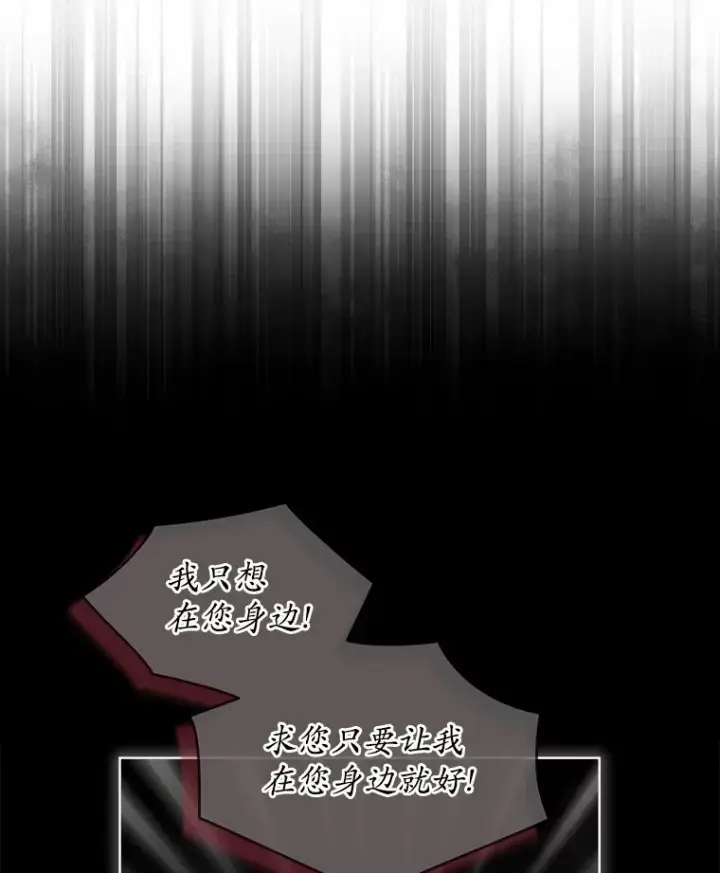 漫画《我可以除掉你吗，陛下》22.长得帅吗？第96张图