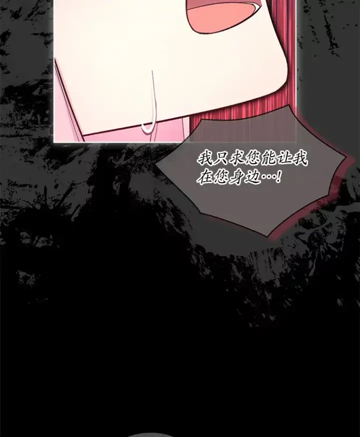 漫画《我可以除掉你吗，陛下》22.长得帅吗？第99张图