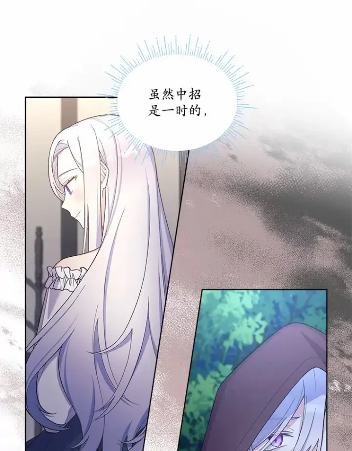 漫画《我可以除掉你吗，陛下》23.敌国皇女第13张图