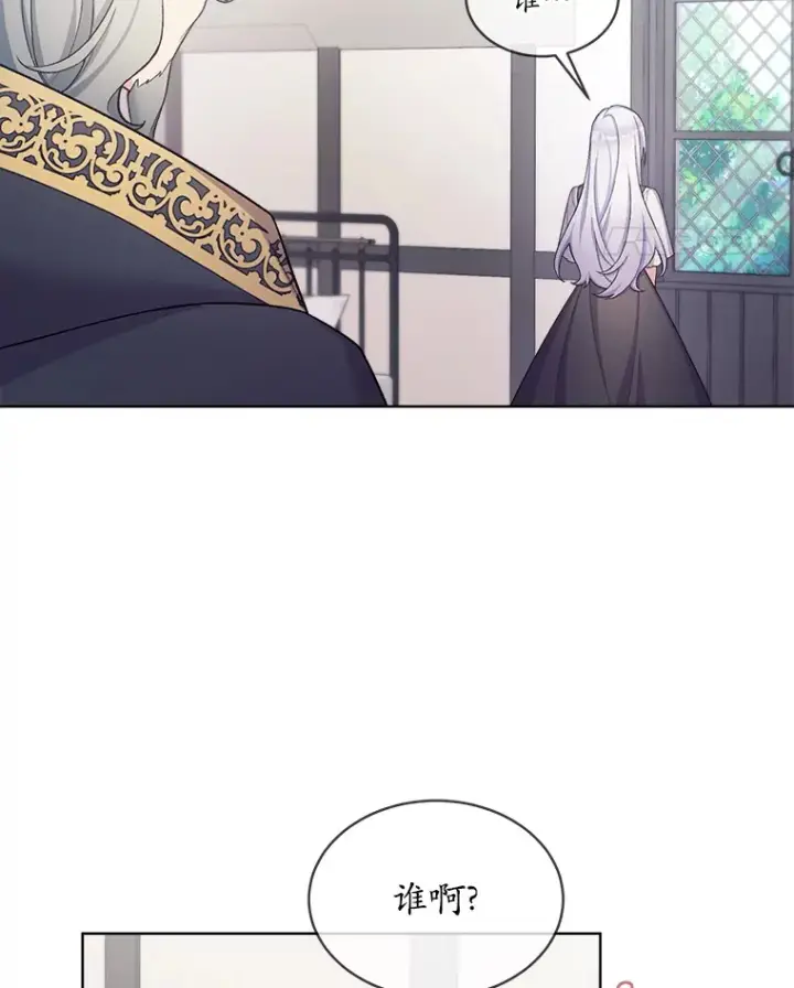漫画《我可以除掉你吗，陛下》24.银发魔女第47张图
