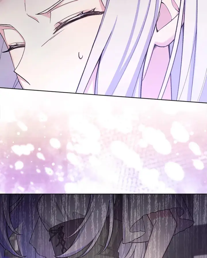 漫画《我可以除掉你吗，陛下》24.银发魔女第66张图