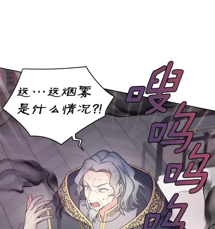 漫画《我可以除掉你吗，陛下》24.银发魔女第70张图
