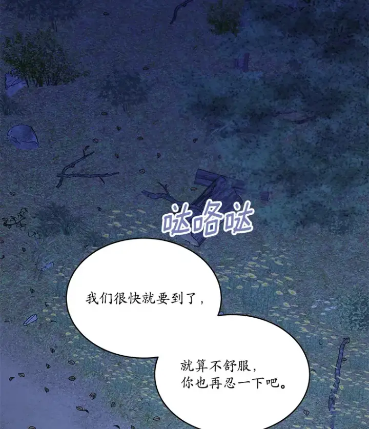 漫画《我可以除掉你吗，陛下》31.生日礼物第19张图