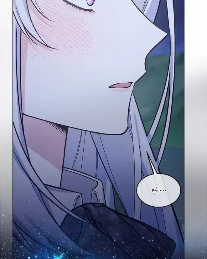 漫画《我可以除掉你吗，陛下》31.生日礼物第47张图