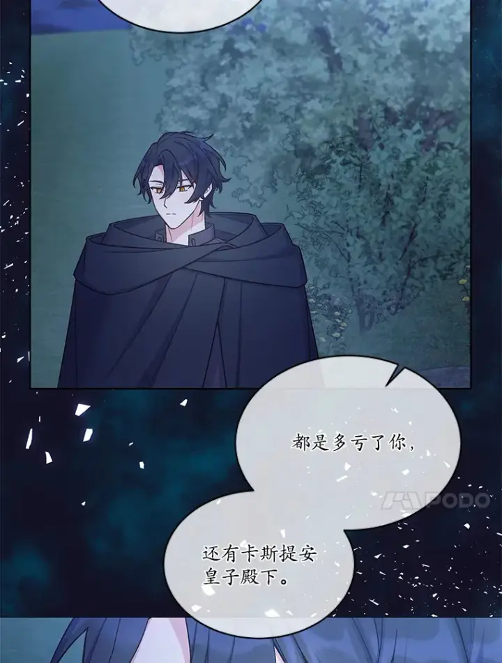 漫画《我可以除掉你吗，陛下》31.生日礼物第86张图