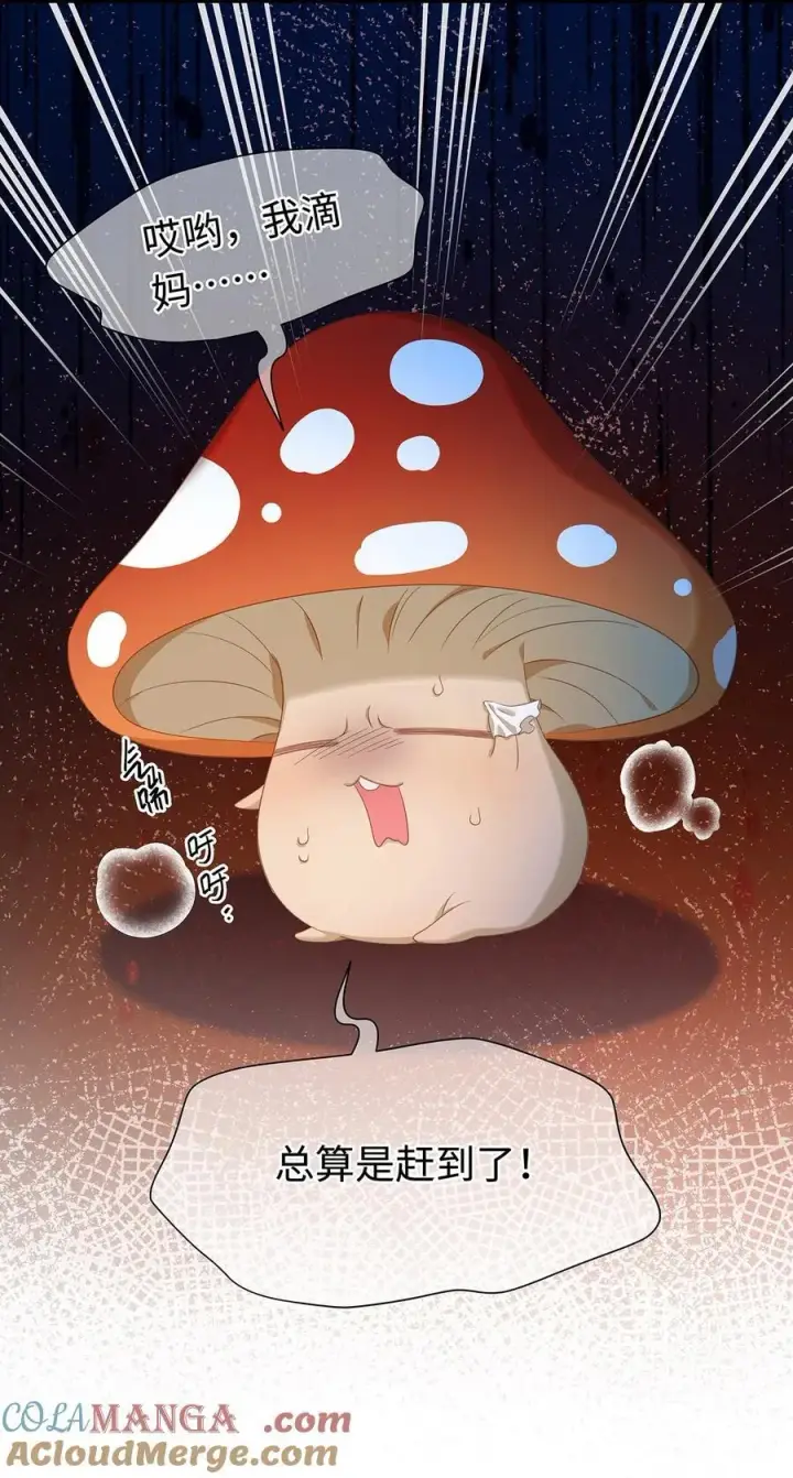 漫画《我重生成为王子殿下的小恶龙》35 真正要欺骗的人第46张图